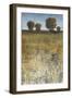 Distant Trees I-Tim O'toole-Framed Art Print