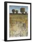 Distant Trees I-Tim O'toole-Framed Art Print