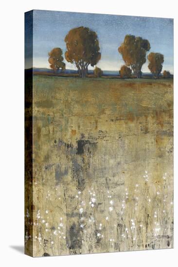 Distant Trees II-Tim O'toole-Stretched Canvas