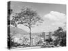 Distant View of Buildings of Caracas-null-Stretched Canvas