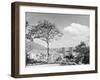 Distant View of Buildings of Caracas-null-Framed Photographic Print