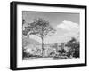 Distant View of Buildings of Caracas-null-Framed Photographic Print