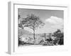 Distant View of Buildings of Caracas-null-Framed Photographic Print