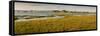 Distant View of Church at Bosham, Chichester Harbour at High Tide, West Sussex, England, UK, Europe-Giles Bracher-Framed Stretched Canvas