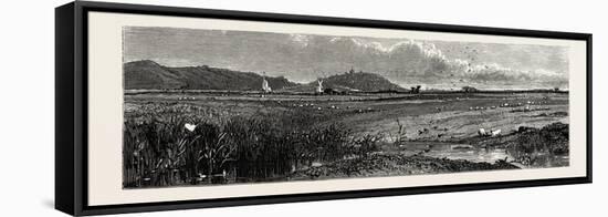 Distant View of Rye, Kent, UK-null-Framed Stretched Canvas