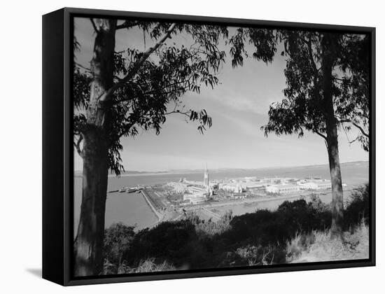 Distant View of San Francisco through Tree Line-null-Framed Stretched Canvas