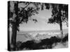 Distant View of San Francisco through Tree Line-null-Stretched Canvas