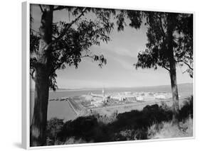 Distant View of San Francisco through Tree Line-null-Framed Photographic Print