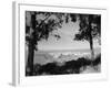 Distant View of San Francisco through Tree Line-null-Framed Photographic Print