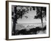 Distant View of San Francisco through Tree Line-null-Framed Photographic Print