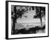 Distant View of San Francisco through Tree Line-null-Framed Photographic Print