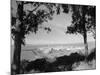 Distant View of San Francisco through Tree Line-null-Mounted Photographic Print
