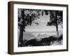 Distant View of San Francisco through Tree Line-null-Framed Photographic Print