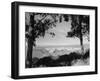 Distant View of San Francisco through Tree Line-null-Framed Photographic Print