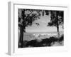 Distant View of San Francisco through Tree Line-null-Framed Photographic Print