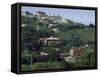 Distant View of the Grounds and Buildings of Sophia Loren and Carlo Ponti's Villa-Alfred Eisenstaedt-Framed Stretched Canvas