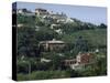 Distant View of the Grounds and Buildings of Sophia Loren and Carlo Ponti's Villa-Alfred Eisenstaedt-Stretched Canvas