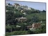 Distant View of the Grounds and Buildings of Sophia Loren and Carlo Ponti's Villa-Alfred Eisenstaedt-Mounted Photographic Print