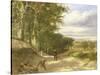 Distant View of the River Clyde-Horatio Mcculloch-Stretched Canvas
