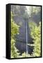 Distant Waterfall-Logan Thomas-Framed Stretched Canvas