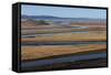 Distant Yaks Graze on the Banks of the Yellow River in Sichuan Province, China, Asia-Alex Treadway-Framed Stretched Canvas