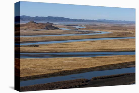 Distant Yaks Graze on the Banks of the Yellow River in Sichuan Province, China, Asia-Alex Treadway-Stretched Canvas