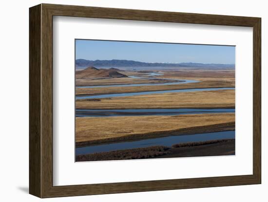 Distant Yaks Graze on the Banks of the Yellow River in Sichuan Province, China, Asia-Alex Treadway-Framed Photographic Print