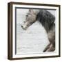 Distant-Kari Brooks-Framed Art Print