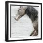 Distant-Kari Brooks-Framed Art Print