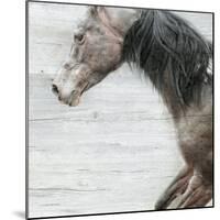 Distant-Kari Brooks-Mounted Art Print