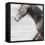 Distant-Kari Brooks-Framed Stretched Canvas