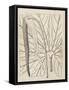 Distinctive Leaves IV-Vision Studio-Framed Stretched Canvas