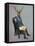 Distinguished Deer Full-Fab Funky-Framed Stretched Canvas