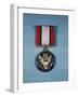 Distinguished Service Cross Medal-null-Framed Photographic Print