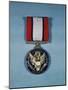 Distinguished Service Cross Medal-null-Mounted Photographic Print
