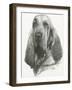 Distinguished-Barbara Keith-Framed Giclee Print