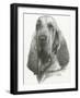 Distinguished-Barbara Keith-Framed Giclee Print