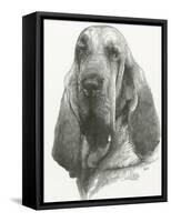 Distinguished-Barbara Keith-Framed Stretched Canvas