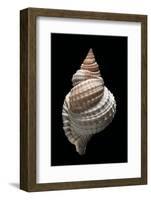 Distorso Perdistorta-Paul Starosta-Framed Photographic Print