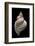 Distorso Perdistorta-Paul Starosta-Framed Photographic Print