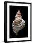 Distorso Perdistorta-Paul Starosta-Framed Photographic Print