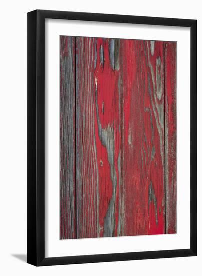 Distressed I-Kathy Mahan-Framed Photographic Print