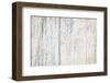 Distressed Painted Wood Background-elenathewise-Framed Photographic Print