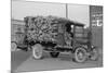 District of Columbia Paper Company Is Getting a Delivery of Logs from Which to Manufacture Paper-null-Mounted Premium Giclee Print