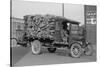 District of Columbia Paper Company Is Getting a Delivery of Logs from Which to Manufacture Paper-null-Stretched Canvas