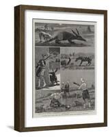 Disturbed South Africa, with the First Battalion Argyll and Sutherland Highlanders-null-Framed Giclee Print