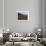 Disused Trapper's Hut and the Grassland, Forest and Glacier of Fort Richardson Park, Alaska, USA-Jeremy Bright-Framed Photographic Print displayed on a wall