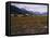 Disused Trapper's Hut and the Grassland, Forest and Glacier of Fort Richardson Park, Alaska, USA-Jeremy Bright-Framed Stretched Canvas