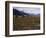 Disused Trapper's Hut and the Grassland, Forest and Glacier of Fort Richardson Park, Alaska, USA-Jeremy Bright-Framed Photographic Print