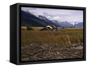 Disused Trapper's Hut and the Grassland, Forest and Glacier of Fort Richardson Park, Alaska, USA-Jeremy Bright-Framed Stretched Canvas